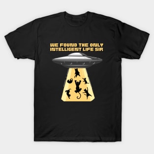 We found the only intelligent life. UFO beaming up cats, for cat lovers T-Shirt